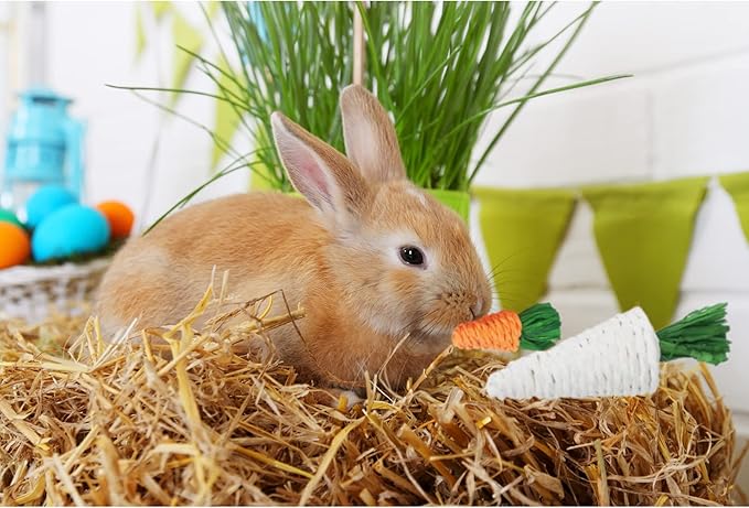 Lacrima Rabbit Bunny Guinea Pig Chew Toys 12PCS, Chew Toys and Treats for Rabbit Guinea Pig Hamster Chinchilla, Small Animal Teeth Care