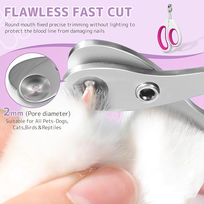 4-in-1 Cat & Dog Steam Deshedding Brush -Grooming Tool with Shedding, Cleaning, Massage & Combing, Includes Flea Comb, Nail Clippers, Pet Finger Toothbrush,120ml Cleaning Solution (Orange set)