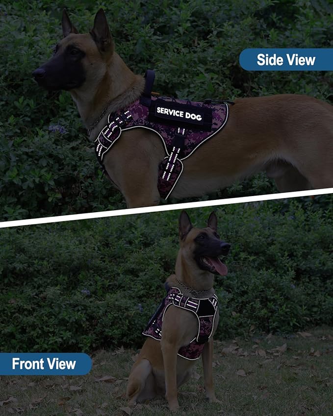 PETNANNY Tactical Dog Harness Reflective with ID Card,Service Dog Vest Harness for Medium Large Dogs,Emotional Support Vest with Padded Handle,2 Reflective Patches for Training Hunting(Purple Camo,XL)