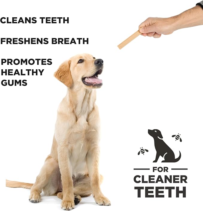 Hive Treats for Dogs 2 Pack Ñ Healthy, Non-GMO Project Verified, Natural Peanut Butter Flavored, Natural, Vegetarian Chews, Made in The USA (Chew Sticks, Large Breeds)