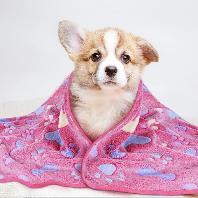 LeapSheep Pet Blankets for Dogs Cats - 3Pack Heart Pattern Super Soft Fluffy Dog Blankets for Small Medium Large Doggy Kitten(Heart, Large)