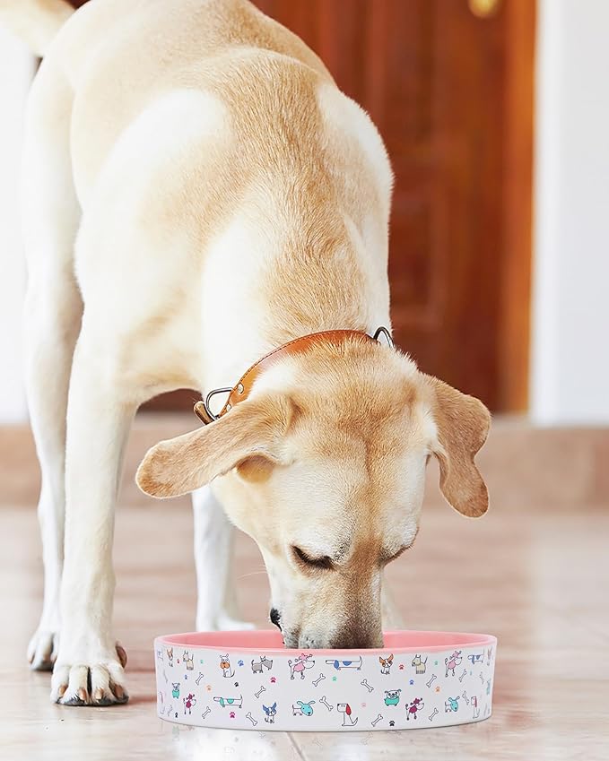 Slow Feeder Dog Bowl, Ceramic Dog Bowls 1.5 Cups Interactive Puzzle Feeder for Fast Eaters, Prevent Bloat & Choking, for Small Medium Large Dogs, Pink 