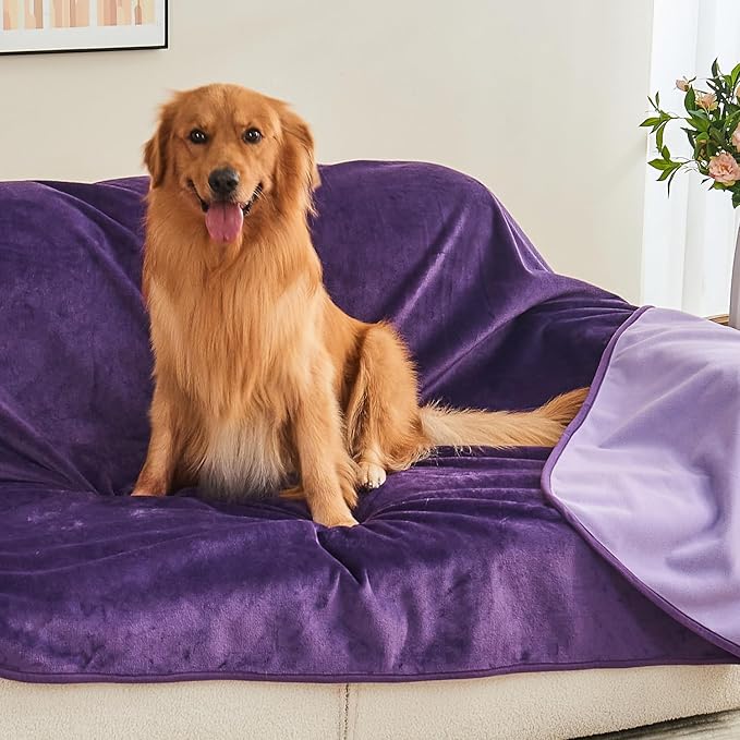 Waterproof Blanket 60"x80" for Adults, Reversible Waterproof Bed Cover for Dogs Cats Pets, Soft Leakproof Blanket for Bed Couch Sofa Furniture Protector, Dark Purple/Light Purple