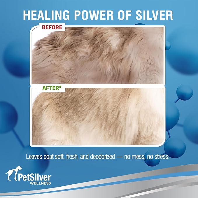 PetSilver Waterless Cat Shampoo - No Rinse Bath & Dry Shampoo for Cats - Long-Haired & Sensitive Skin - Cleans, Conditions & Moisturizes - Hypoallergenic & Fragrance-Free - Patented Formula - 5 fl oz