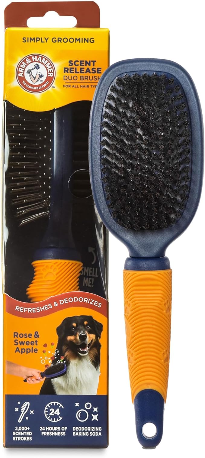 Arm & Hammer “Simply Glam” Dog Grooming Pin & Bristle Deodorizing Brush with Fragrance Transfer Technology – Scented 2-in-1 Brush for Detangling & Shedding, Sweet Apple & Rose Scent