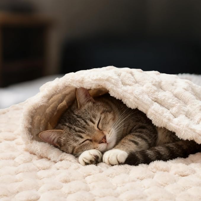 Luciphia Fleece Dog Blanket for Small Medium Large Dogs 3D Jacquard Flannel Puppy Cat Pet Throw Blankets Soft Washable Decorative Furniture Protect White, M(30''x20'')