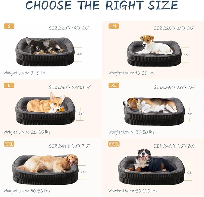 Orthopedic Dog Bed for Puppy,Extra Small Dogs Breeds,Oval Cat Bed,High Density Egg Crate Foam Dog Sofa Beds,Pet Couch Bed with Four Sided Bolster,Removable Washable Cover&Non-Slip Bottom