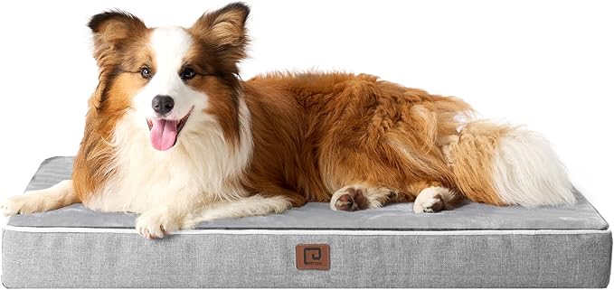 EHEYCIGA Waterproof Dog Bed Memory Foam 41x27, Orthopedic Dog Beds Mat for Extra Large Dogs with Removable Cover, Grey