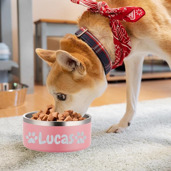 Custom Personalized Dog & Cat Bowls - Stainless Steel Non-Slip Water & Food Dishes - Easy to Clean, Dishwasher Safe - Small, Medium, Large Sizes (Pink)