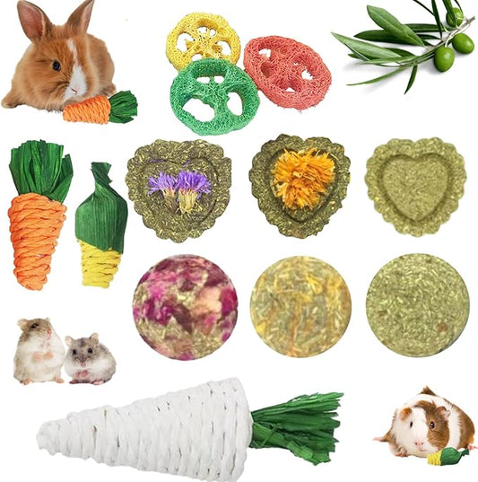 Lacrima Rabbit Bunny Guinea Pig Chew Toys 12PCS, Chew Toys and Treats for Rabbit Guinea Pig Hamster Chinchilla, Small Animal Teeth Care