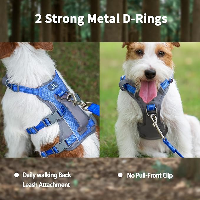 Huntboo Reflective Dog Harness with Handle, Escape Proof, No Slip, Breathable, Lightweight, Adjustable Lift Harness for Small, Medium, and Large Dogs Walking, Training, and Running Gear(Sea Blue,S)
