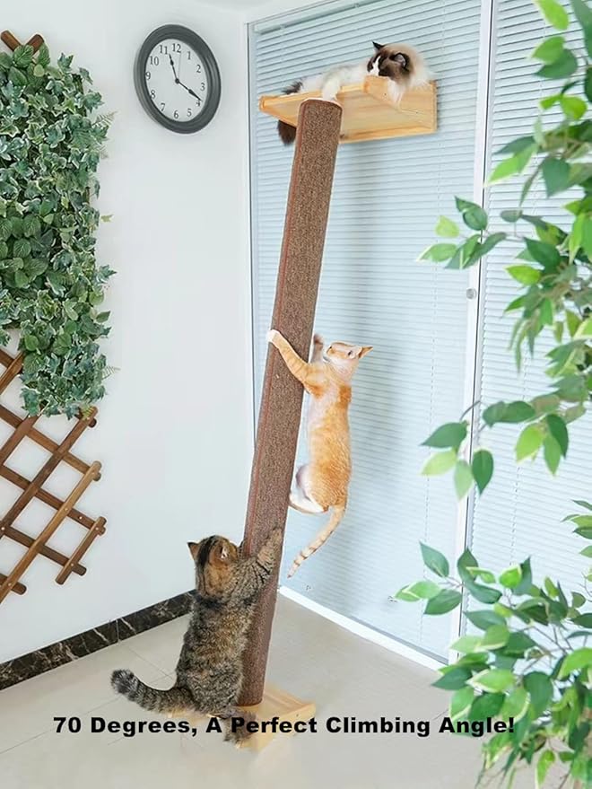 SHENGOCASE Modern 78.7“ Tall Leaning Cat Tree Tower Scratching Post Pillar with Bed Perch, Climbing Pole for Wall and Window, Wall Mounted Shelves