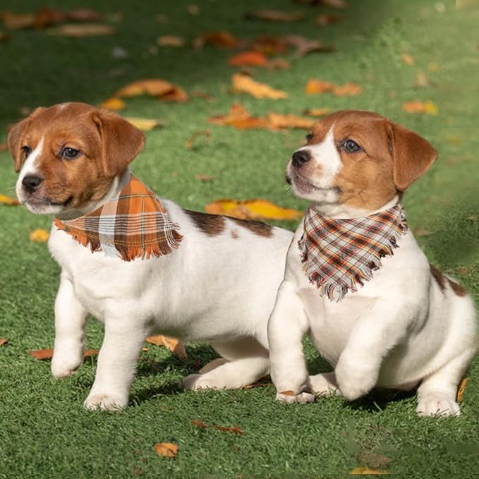 Kytely 2 Pack Fall Dog Bandanas Autumn Dog Bandana Thanksgiving Plaid Pets Scarf Triangle Bibs for Cat Small Dogs Pets