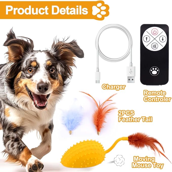 Mity rain Interactive Dog Toys, Remote Control Dog Toy with Feather Tail and Charger, Funny Dog Toys for Small Medium Dogs Outdoor and Indoor, Dog Toys to Keep Them Busy