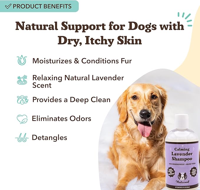 Natural Dog Company Calming Lavender Shampoo – Hypoallergenic, Sulfate & Paraben Free – Aloe Vera & Chamomile Soothing Wash for Sensitive, Stressed & Itchy Dogs – All Breeds & Ages – 12 oz
