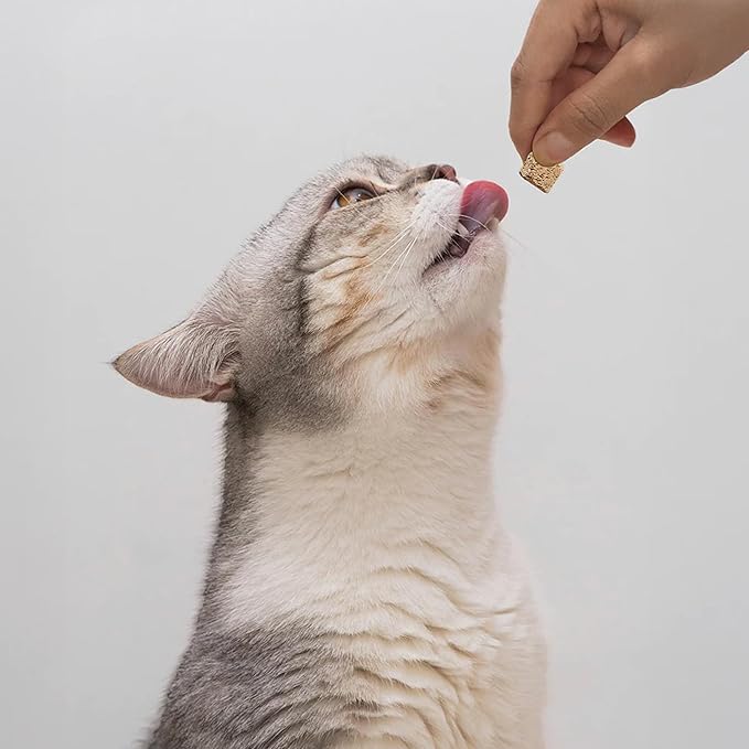 Open Farm, Kitty Cubes, Freeze Dried Raw Cat Treats, Grain-Free, High-Protein Cat Treat with Probiotics, Omega Fatty Acids & Superfoods, Chicken & Turkey Recipe, 1.5oz Bag