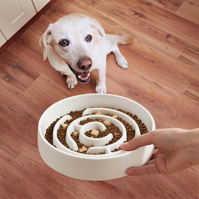 Ceramic Slow Feeder Dog Bowl,1.5 Cups Pet Slow Feeder for Small and Medium Breed,Puzzle Dog Food Dish,Anti-Gulping,Stop Bloat,Preventing Choking(White)