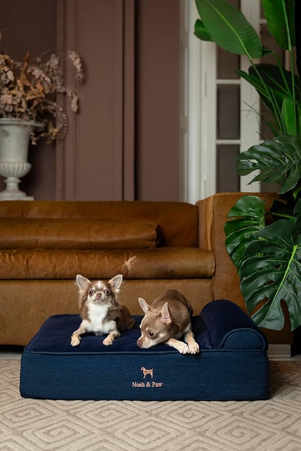 NOAH & PAW Dog Bed, 28x23x7.5 Inch, Orthopedic Dog Beds for Medium Size Pets, Eggshell Memory Foam Infused with Cooling Gel, Waterproof, Machine Washable, Includes Inner Cover (Denim Collection)