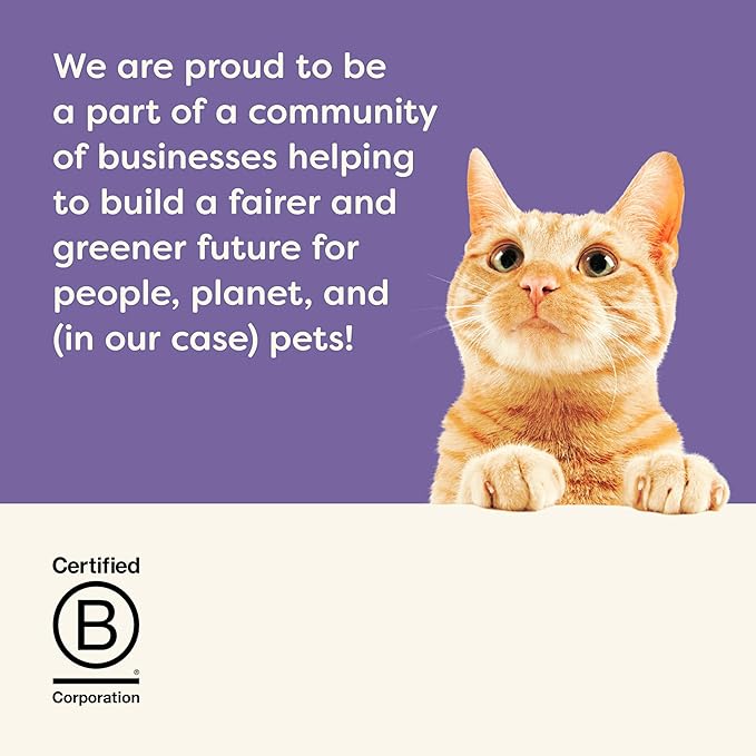 Applaws Natural Wet Cat Food in Broth, Limited and Natural Ingredients, High Protein with No Artificial Additives, Variety Pack in Broth (12 x 5.5oz Cans)