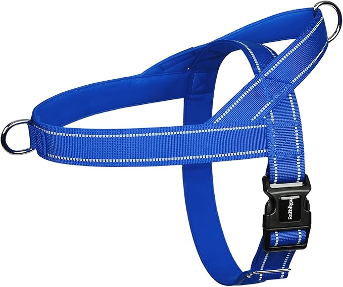 rabbitgoo Dog Harness No Pull, Quick Fit for Small Dogs with Soft Padded Handle, Chest Adjustable Reflective Pet Vest, No Choke Escape Proof for Walking Training, Blue S