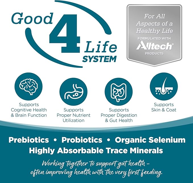 NutriSource Grain Free Dry Dog Food, Chicken and Peas, 12LB