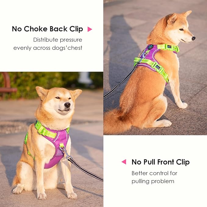 PHOEPET No Pull Dog Harness, Unique Colors Reflective Adjustable Dog Vest, with Soft Training Handle Metal Clips for Small Medium Large Dogs (Purple Base & Green Straps,M)