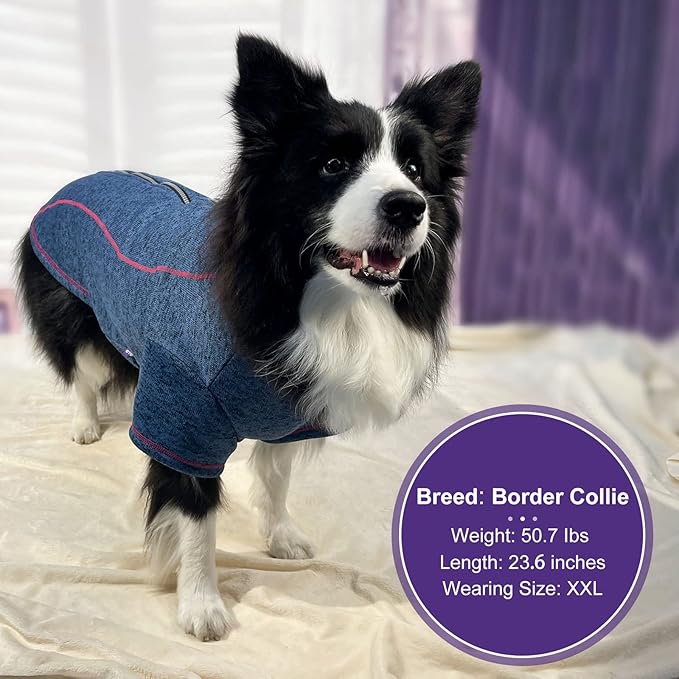 cyeollo Dog Jacket Sweater Reflective Warm Coats Zipper Up Step in Lightweight Fleece Jacket Pet Clothes Dog Jackets for Medium to Large Dogs