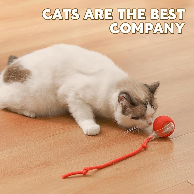 Chewie Viral 360 Smart Automatic Rolling Pet Ball - Interactive Dog & Cat Toy (Green)