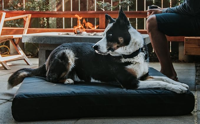 K9 Ballistics Tough Ripstop Orthopedic Rectangle Dog Bed Removable Washable Cover, Solid Orthopedic Foam for Size L Large Dogs 40"x34", Sandstone