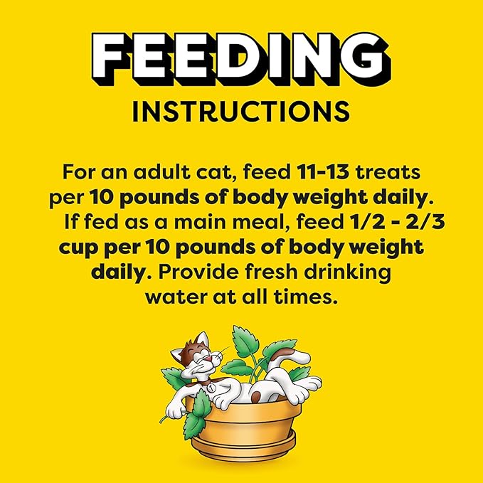 Temptations Classic Crunchy and Soft Cat Treats Blissful Catnip Flavor, 3 oz. Pouch (Pack of 12)