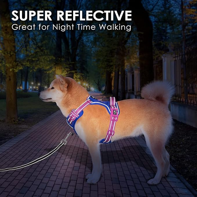 PHOEPET No Pull Dog Harness, Unique Colors Reflective Adjustable Dog Vest, with Soft Training Handle Metal Clips for Small Medium Large Dogs (Royal Blue Base & Pink Straps,S)