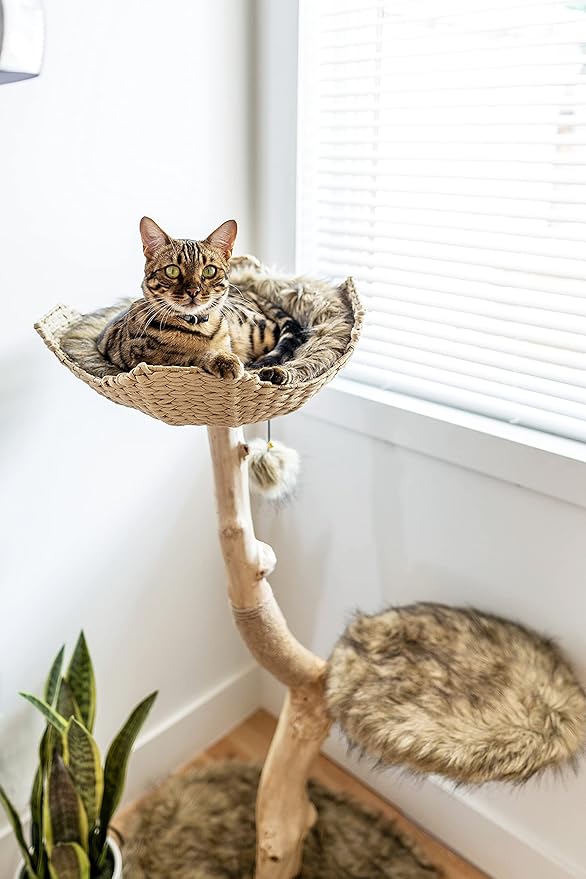 Wooden Cat Tree Tower, Modern Single Branch Cat Condo, Wood Cat Tree, Cat Climbing, Furniture for Cat, Cat Lover Gift, Cat Furniture,Cat Gift by MAU LIFESTYLE (Brown)
