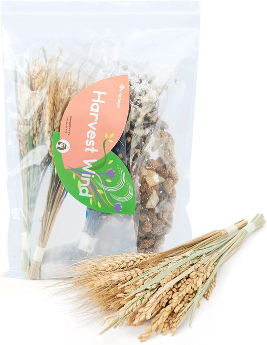 Niteangel Natural Flower & Herb Bedding Habitat Decor - for Hamsters Gerbils Mice Lemming Degus or Other Small Pets (Harvest Wind - Harvest Version)