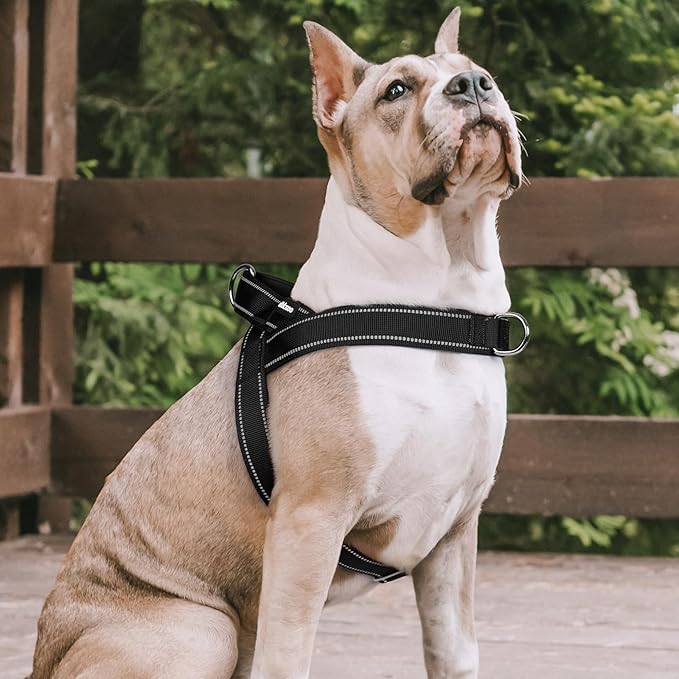 rabbitgoo Dog Harness No Pull, Quick Fit for Small Dogs with Soft Padded Handle, Chest Adjustable Reflective Pet Vest, No Choke Escape Proof for Walking Training, Black S