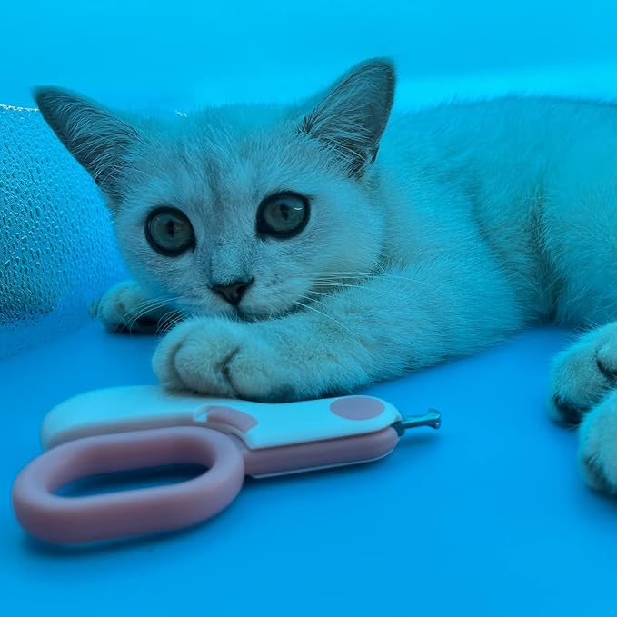 Small Animals Nail Clippers with LED Lights to Avoid Excessive Cutting and Razor Sharp Blades - Professional Claw Trimmer for Tiny Dog Cat Kitten Bunny Rabbit Bird Guinea Pigs Ferret Hamsters (Blue)