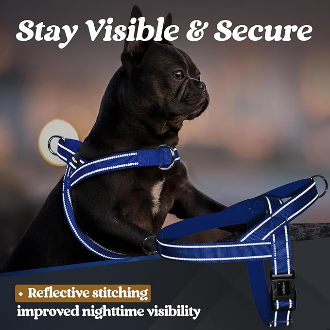 rabbitgoo Dog Harness No Pull, Quick Fit for Large Dogs with Soft Padded Handle, Chest Adjustable Reflective Pet Vest, No Choke Escape Proof for Walking Training, Blue XL