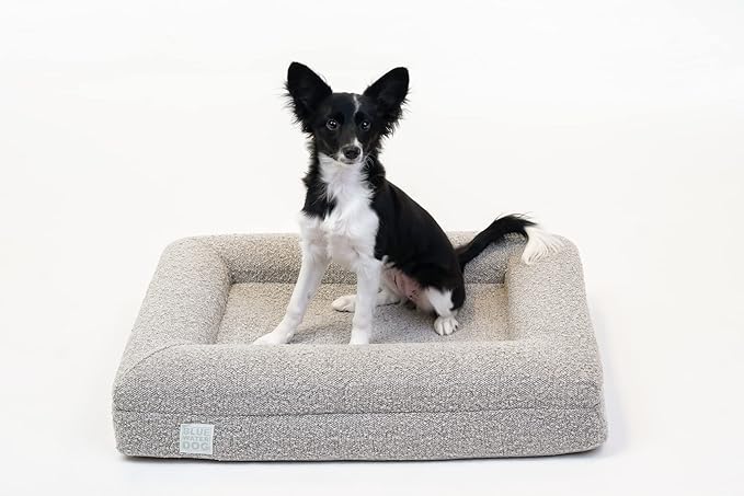 Luxury Boucle Orthopedic Memory Foam Dog Bed with Waterproof Liner and Machine Washable Cover with YKK Zippers (Small, 29" L x 23" W x 6" Th, Sand)