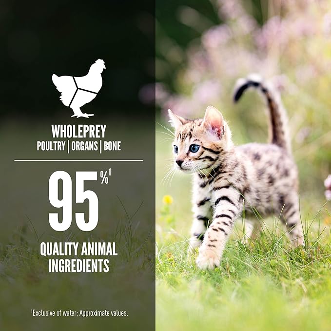 ORIJEN Premium Pate Wet Kitten Cat Food in Bone Broth Chicken & Salmon Entrée 3oz Cans (24 Count)