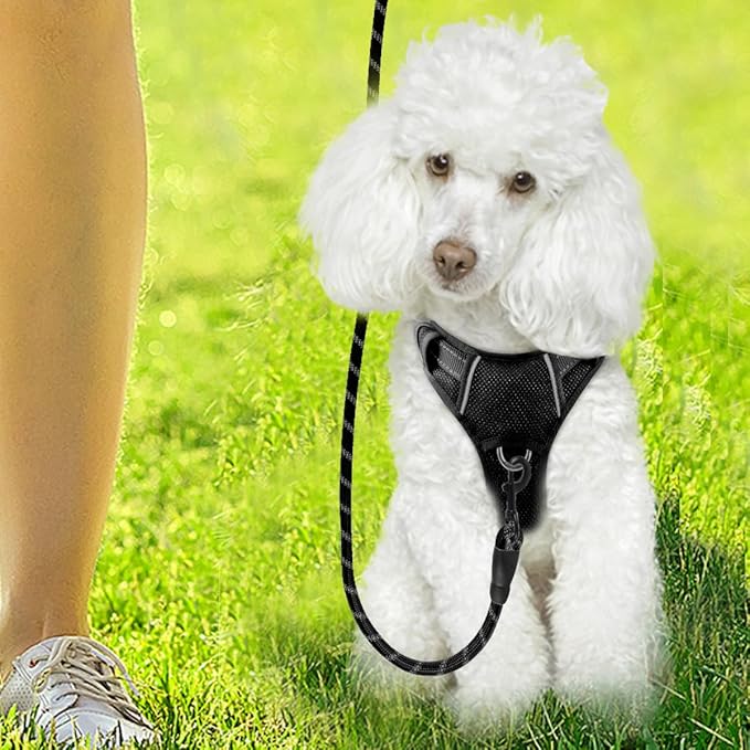 BARKBAY Dog Harness No Pull with ID Tag Pocket - Heavy Duty, Reflective, Easy Control for Large Dogs(Black,XS)