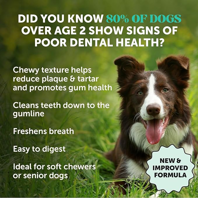 Pet Honesty Dental Health Fresh Sticks - Oral Hygiene Dental Treat for Dogs - Dental Dog Chews - Freshen Dog Breath, Reduce Plaque + Tartar - 16 Sticks