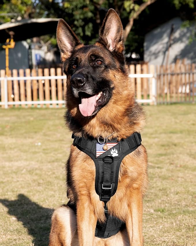 PETNANNY Tactical Dog Harness - No-Pull Service Vest for Large Breeds, with Hook & Loop Patch Panel & MOLLE System | Padded Handle for Walking, Hiking & Training (Black, L)