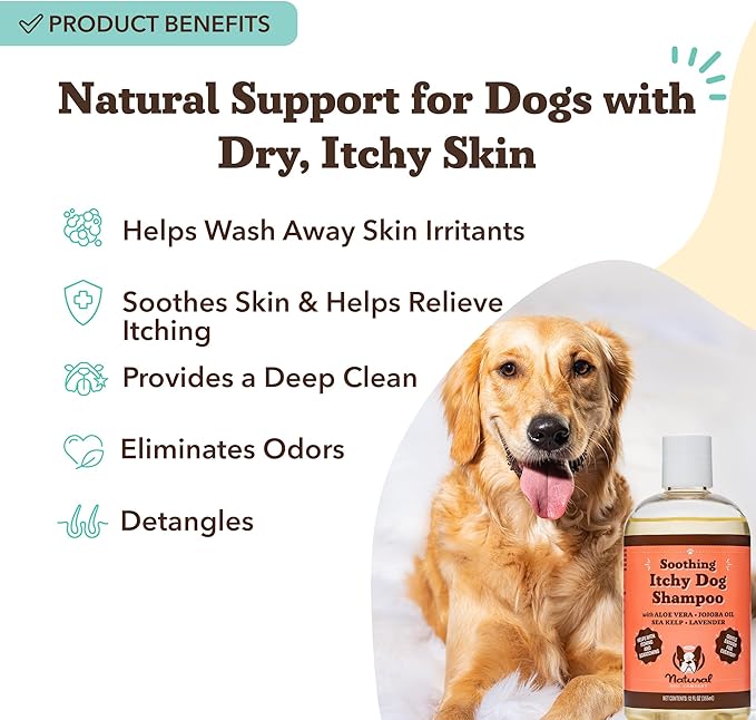 Natural Dog Company Itchy Dog Shampoo 12 oz – Hypoallergenic & Fragrance Free – Aloe Vera, Jojoba & Sea Kelp – Sulfate & Paraben Free – Soothes Dry, Itchy, Irritated Skin – Safe for All Breeds