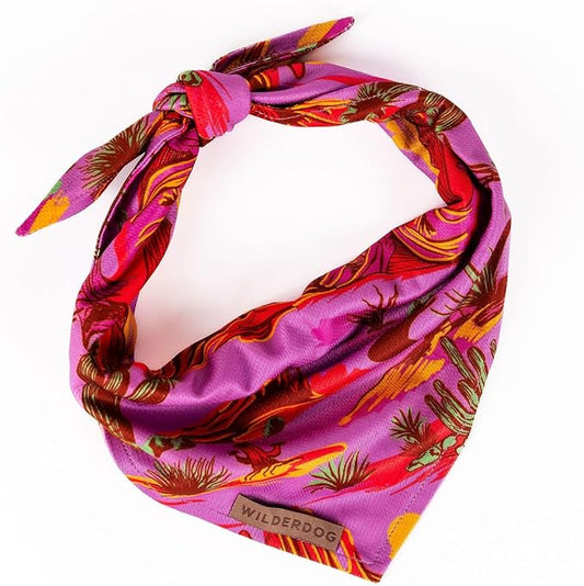 Wilderdog Dog Bandana with Lightweight Quick Drying Poly-Blend Mesh Material in Laramie