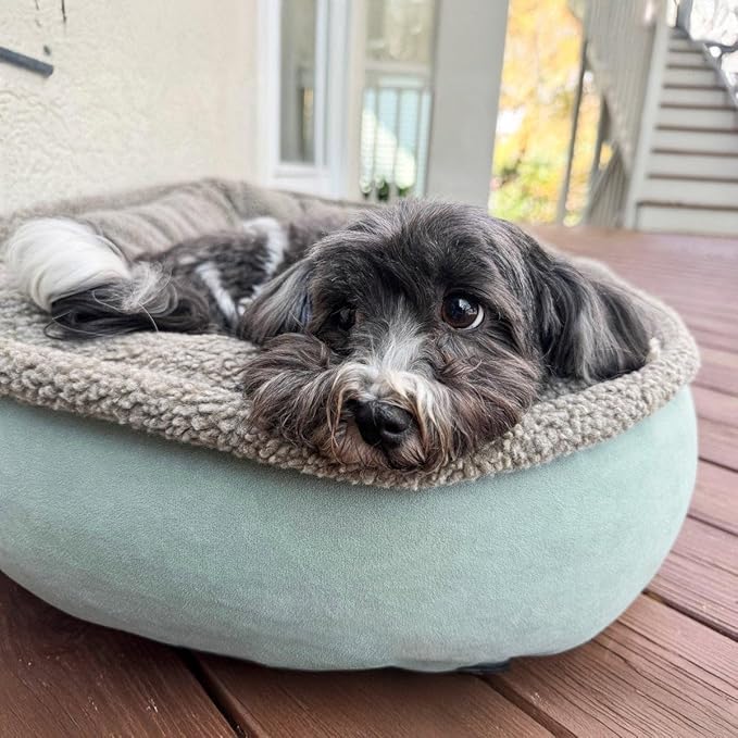 CAROLINA PET COMPANY Microfiber & Tipped Berber Comfy Cup Dog Bed - Sage, L