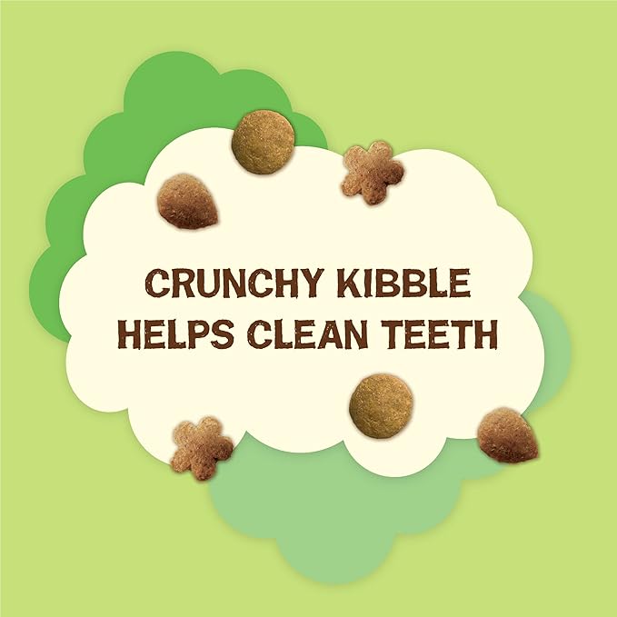 Purina Friskies Made in USA Facilities, Natural Cat Treats, Party Mix Natural Yums Catnip Flavor - 20 Ounce (Pack of 1)