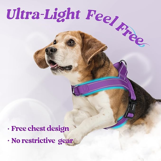 rabbitgoo Dog Harness No Pull, Quick Fit for Small Dogs with Soft Padded Handle, Chest Adjustable Reflective Pet Vest, No Choke Escape Proof for Walking Training, Purple S