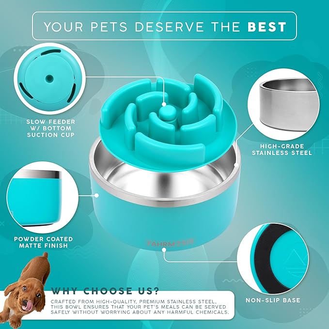 32 Oz Dog Bowl with Slow Feeder Insert Stainless Steel Pet Water Bowl for Medium & Large Breed Non Slip Rubber Base & Plastic Puzzle Feeder - Teal