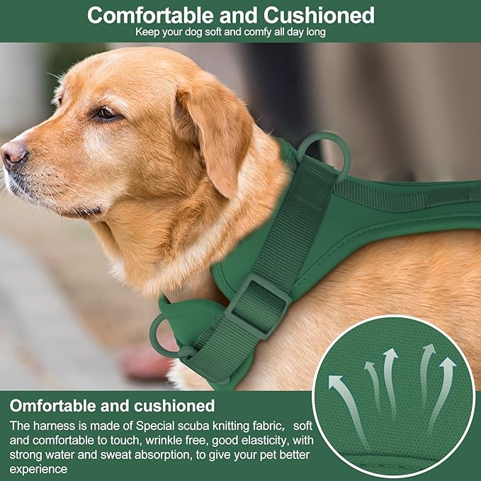No Pull Lightweight Dog Harness: Adjustable Durable Breathable Mesh Pet Vest Harness with Soft & Comfortable Cushion, for Small Medium Large Dogs (S, Pine Green)