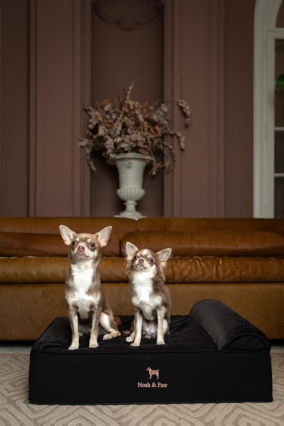 NOAH & PAW Dog Bed, 28x23x7.5 Inch, Orthopedic Dog Beds for Medium Size Pets, Eggshell Memory Foam Infused with Cooling Gel, Waterproof, Machine Washable, Includes Inner Cover (Denim Collection)