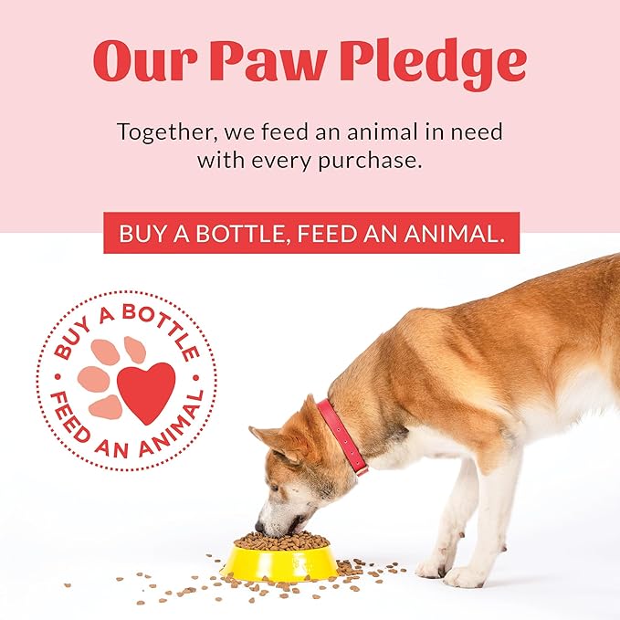 SKOUT'S HONOR Probiotic Itch Relief Spray for Pets - Non-Medicated, Fragrance-Free, Natural, Vegan, Long-Lasting Relief, with Soothing Aloe & Avocado Oil, 8 oz, 2-Pack